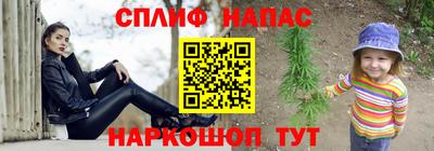 мдпв Можга
