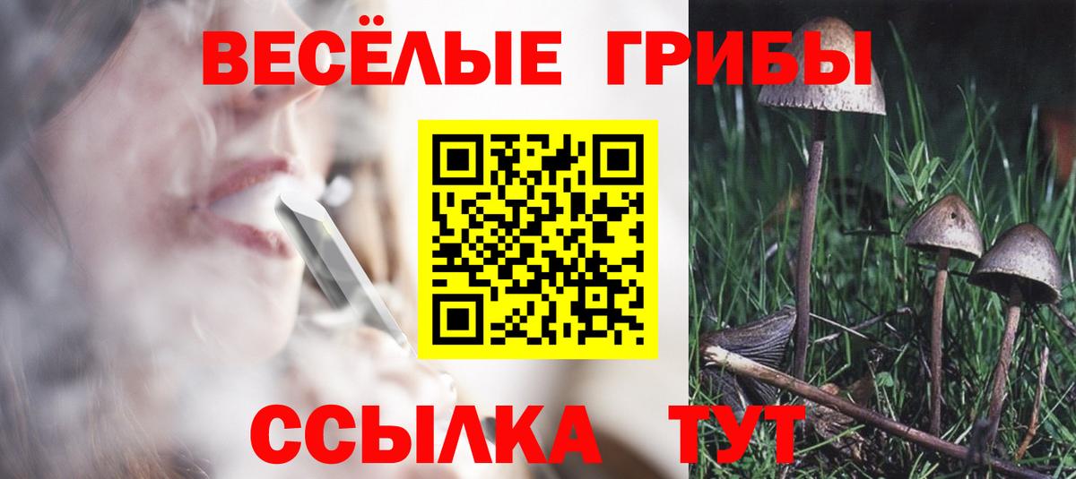 Галлюциногенные грибы Cubensis Родники